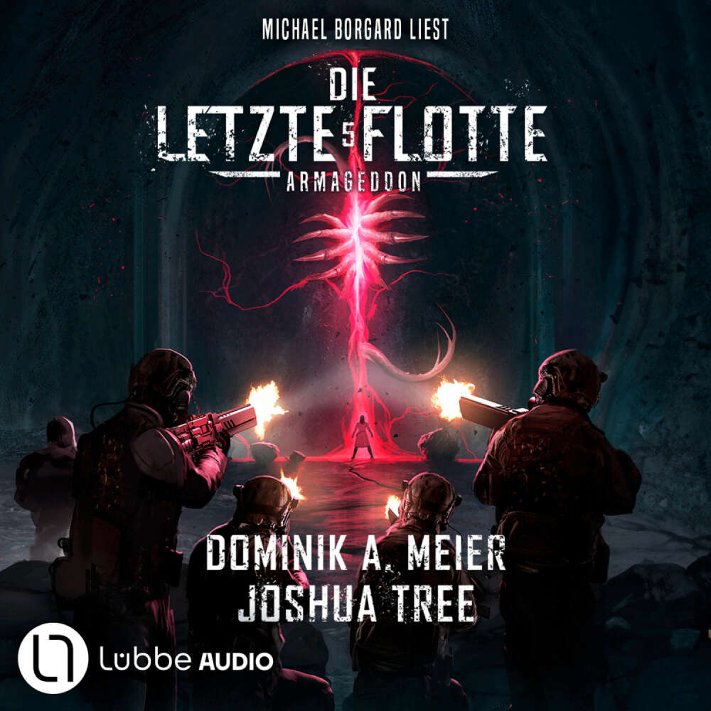 Cover von Dominik A. Meier - Die Letzte Flotte - Teil 5 - Armageddon