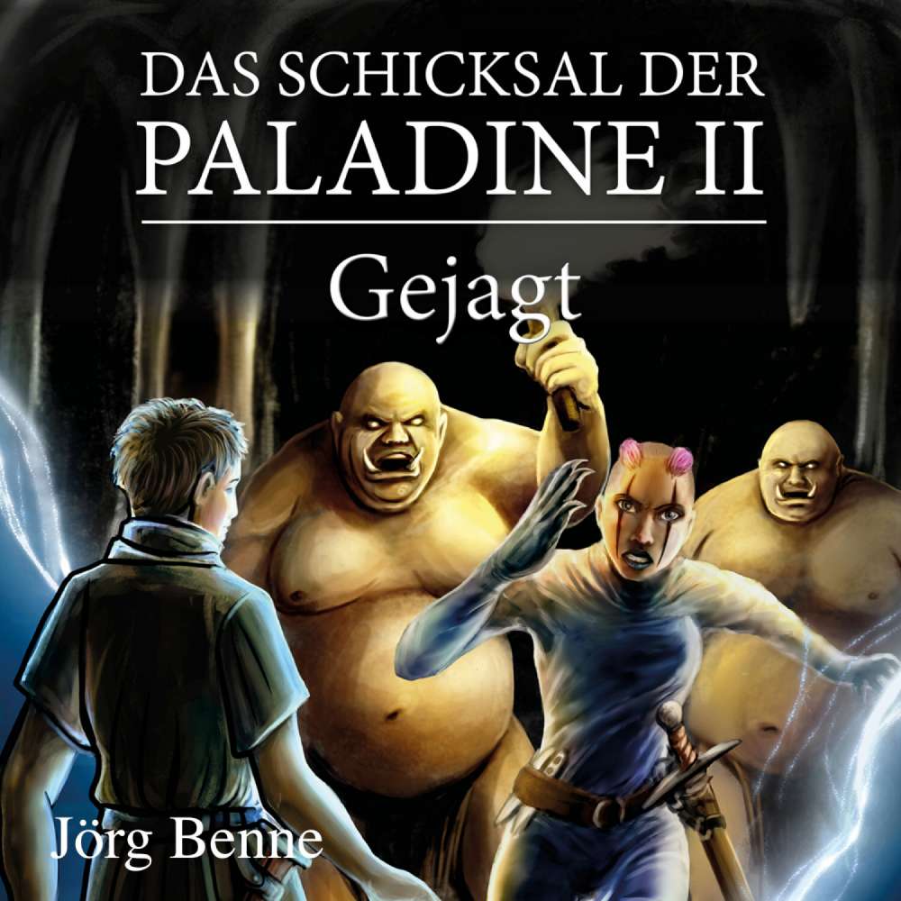 Cover von Jörg Benne - Das Schicksal der Paladine - Band 2 - Gejagt