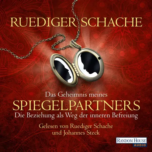 Cover von Ruediger Schache - Das Geheimnis meines Spiegelpartners