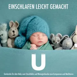 Cover - Baby Zirkel - Einschlafen leicht gemacht - UBahn-Fahrt - Geräusche für dein Baby zum Einschlafen und Naturgeräusche zum Entspannen und Meditieren