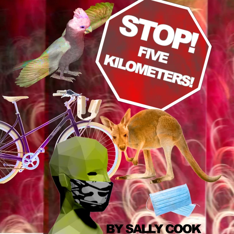 Cover von Sally Cook - Stop! Five Kilometers!