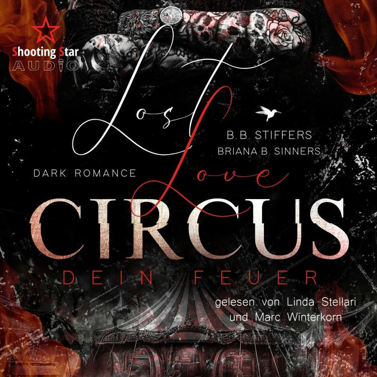 Cover von B. B. Stiffers - Dark Romance - Enemies to Lovers - Band 1 - Lost Love Circus: Dein Feuer