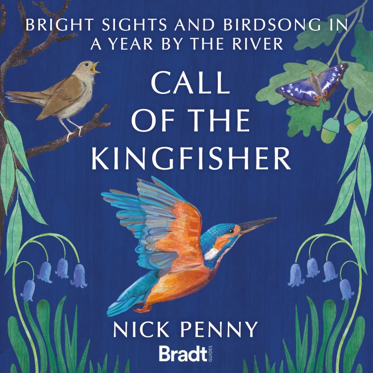 Cover von Nick Penny - Call of the Kingfisher: Bright sights and birdsong in a year by the river