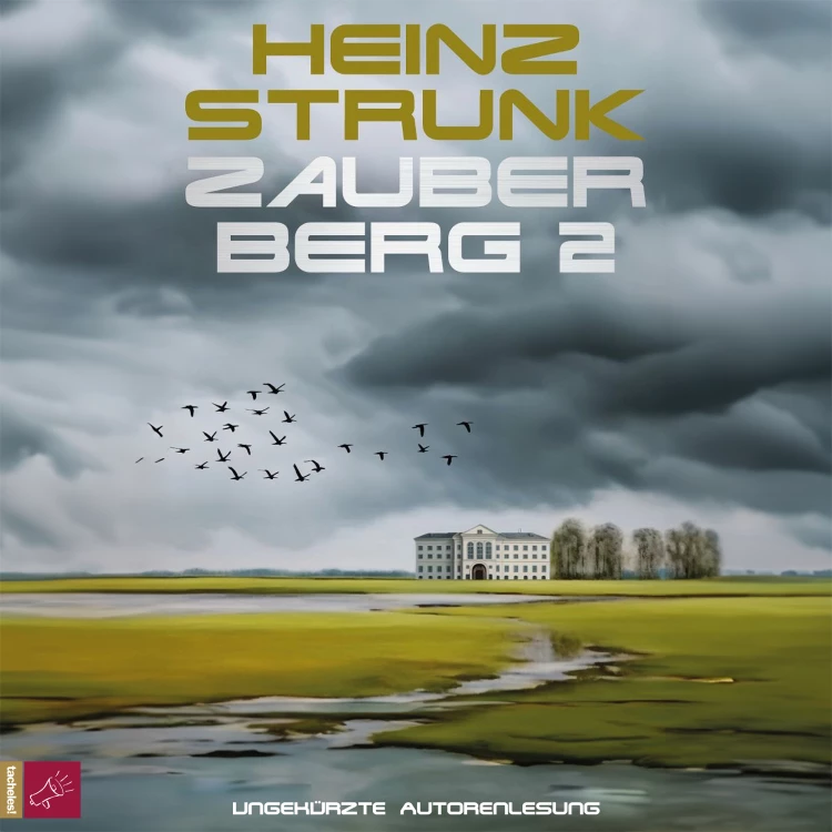 Cover von Heinz Strunk - Zauberberg 2