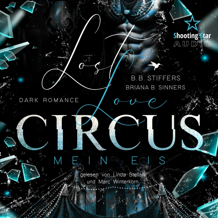 Cover von B. B. Stiffers - Dark Romance - Enemies to Lovers - Band 2 - Lost Love Circus: Mein Eis