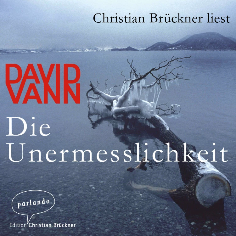 Cover von David Vann - Die Unermesslichkeit