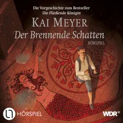 Cover - Kai Meyer - Der Brennende Schatten - Die Vorgeschichte der MERLE-Trilogie