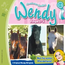 Cover - Wendy - Einsteigerbox