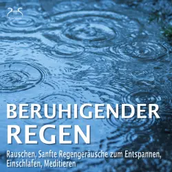 Cover - Torsten Abrolat - Beruhigender Regen - Rauschen, Sanfte Regengeräusche zum Entspannen, Einschlafen, Meditieren - Naturgeräusche pur, Regentropfen, Leichter Regen, Waldregen, Leichtes Gewitter, Somme ...
