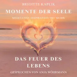Cover - Brigitte Kaplik - Momente der Seele - Band 3 - Das Feuer des Lebens