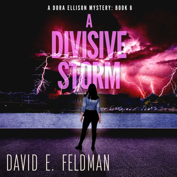 David E. Feldman - The Dora Ellison Mysteries - Book 6 - A Divisive Storm: A Gripping Mystery Thriller Cover
