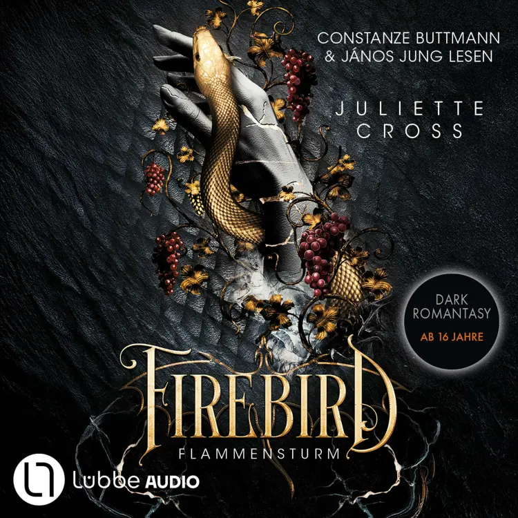 Cover von Juliette Cross - Flammensturm - Teil 1 - Firebird