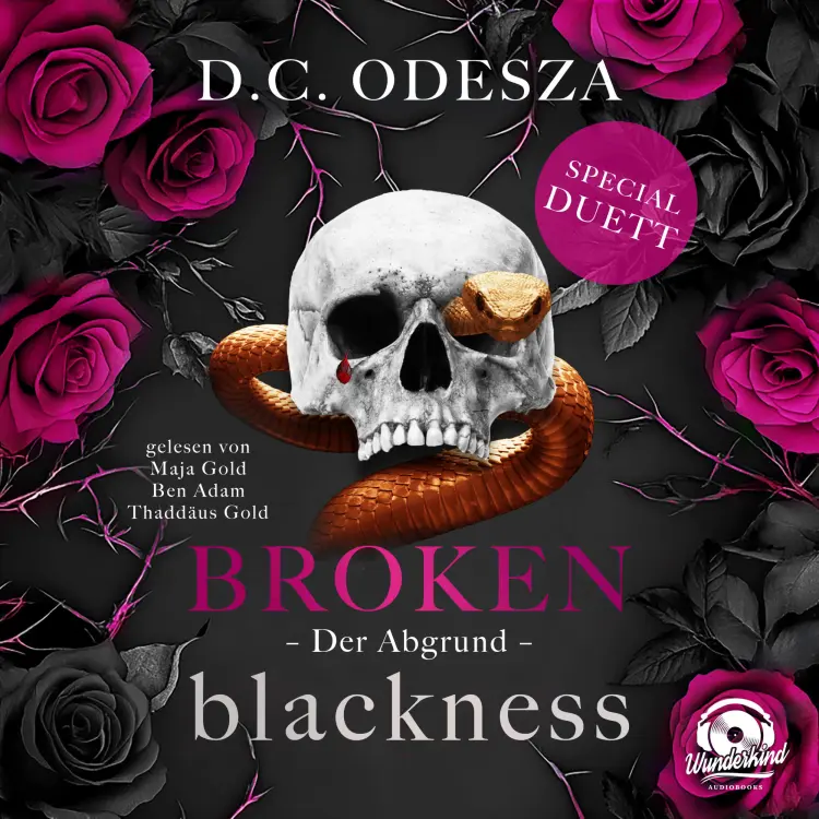 D. C. Odesza - Broken Blackness - Band 4 - Der Abgrund Cover
