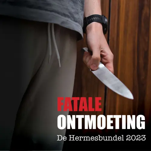Cover von Diverse Auteurs - Fatale ontmoeting