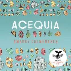 Cover - Amaury Colmenares - Acequia - Premio Hispanoamericano de Narrativa Las Yubartas 2024