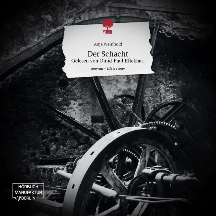 Anja Weinhold - Der Schacht Cover