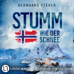 Cover - Bernhard Stäber - Ein Fall für Wolf Larsen - Teil 2 - Stumm wie der Schnee